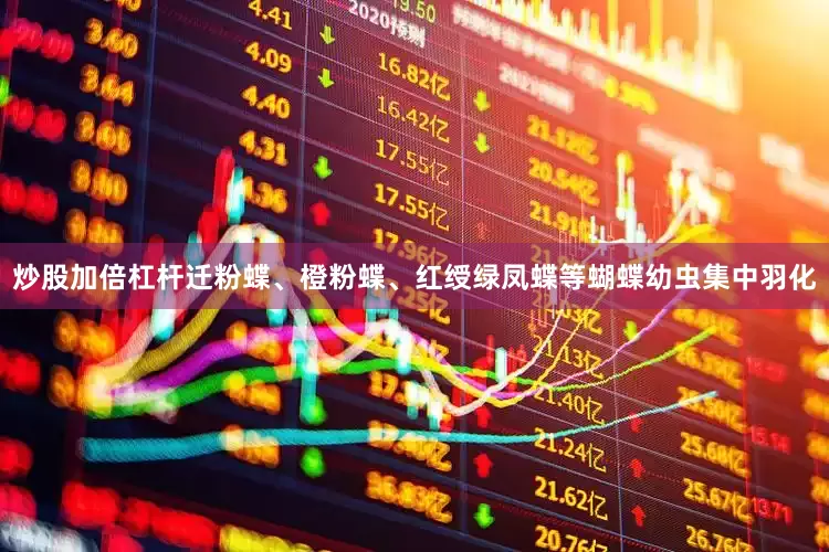 炒股加倍杠杆迁粉蝶、橙粉蝶、红绶绿凤蝶等蝴蝶幼虫集中羽化