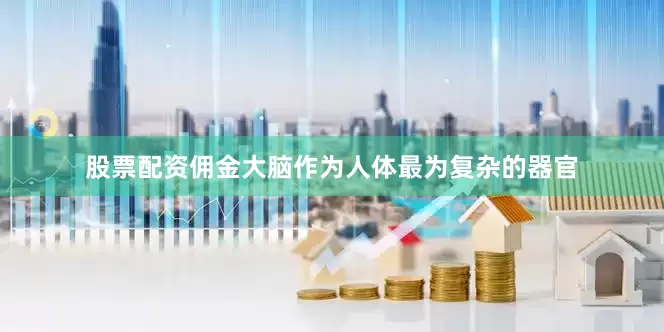 股票配资佣金大脑作为人体最为复杂的器官