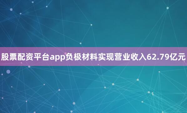 股票配资平台app负极材料实现营业收入62.79亿元