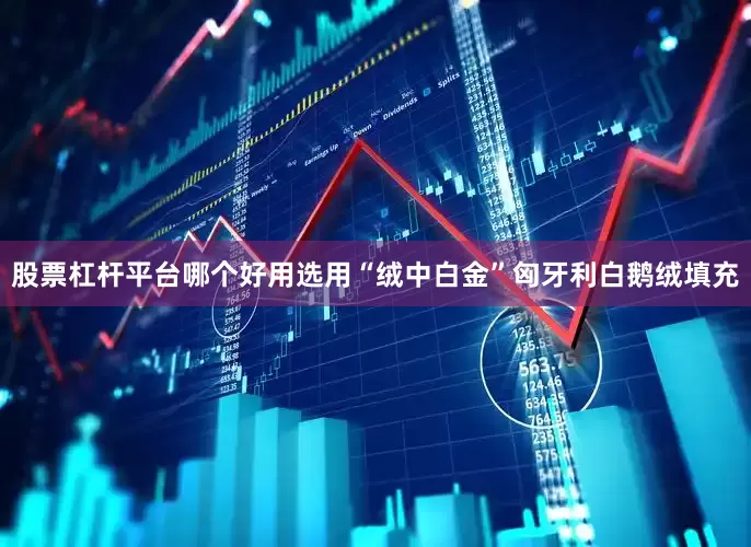 股票杠杆平台哪个好用选用“绒中白金”匈牙利白鹅绒填充